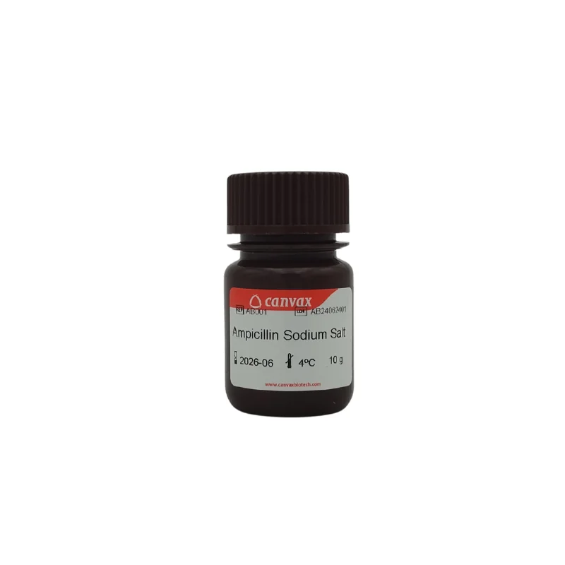 canvax-ampicillin-sodium-salt Ampicillin Sodum Salt (sól sodowa ampicyliny) CAS 69-52-3 - obrazek 1