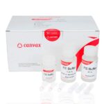 Clean-Easy™ PCR & Gel Extraction Kit (zestaw do oczyszczania produktów PCR i izolacji DNA z żelu)